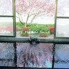 華まき温泉