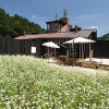 ラムネ温泉館